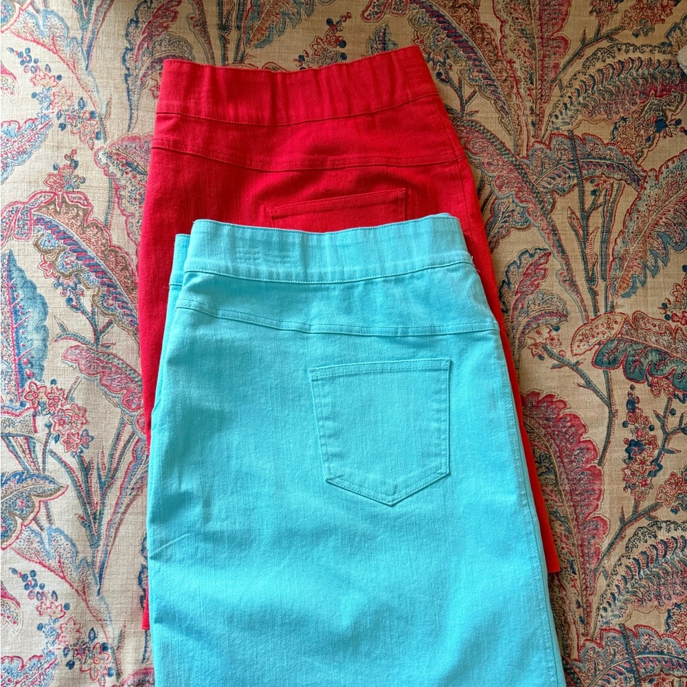 Ruby Rd. Women’s 20W skorts bundle of two in coral and mint green